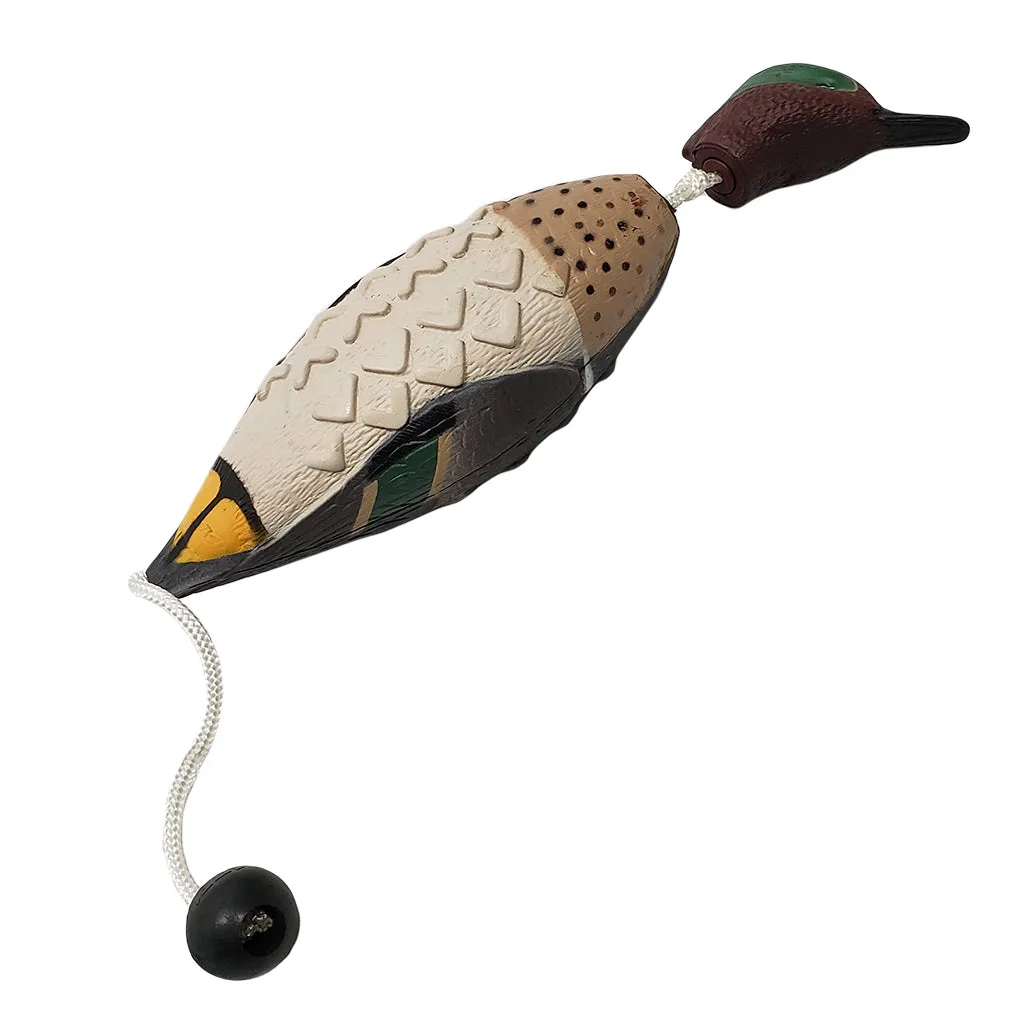 Avery True Bird