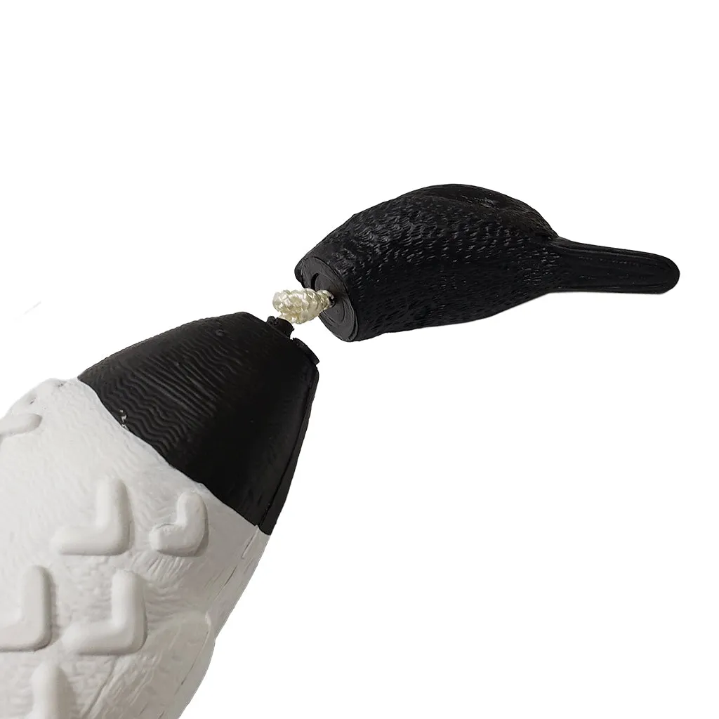 Avery True Bird