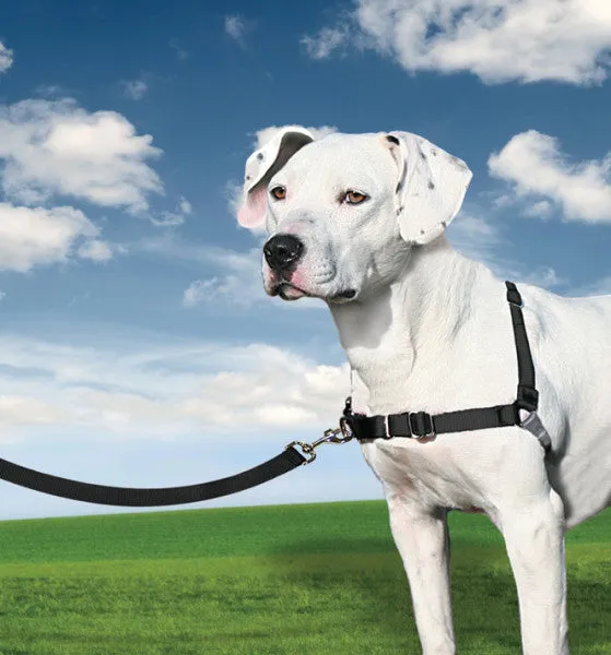 Easy Walk® Harness