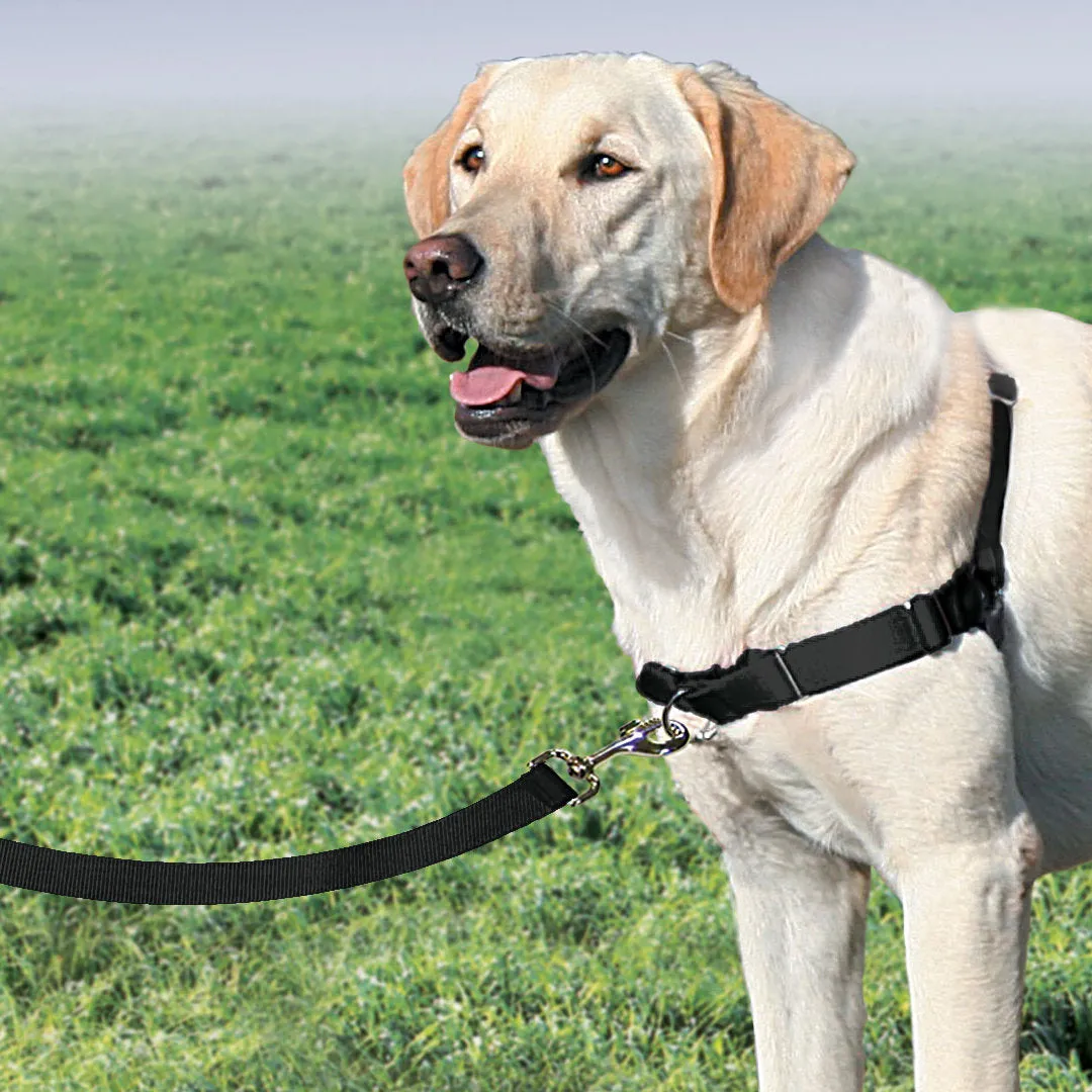 Easy Walk® Harness